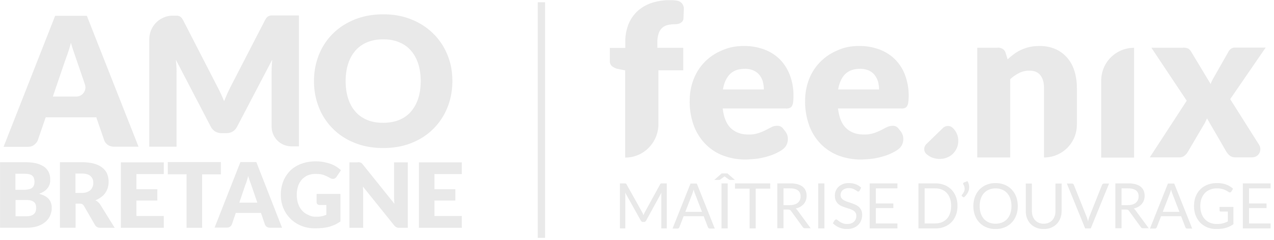 Logo AMO Bretagne - FeeNix